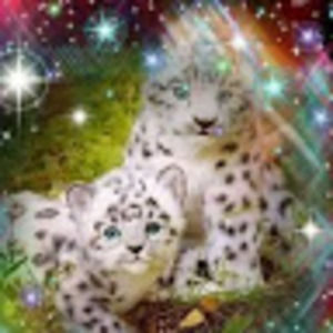 Meet your Posher, Mari